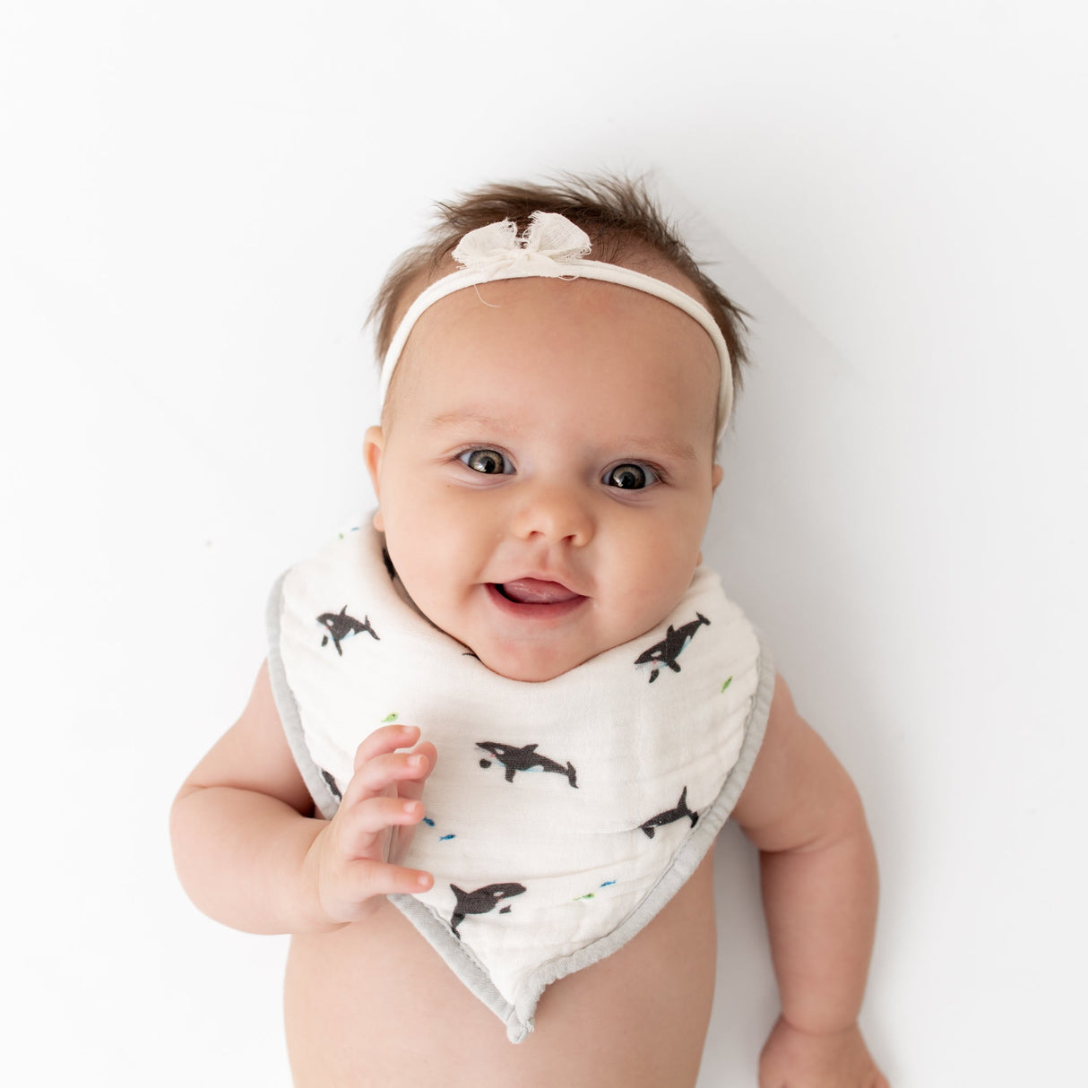 Orca & Blue Dash Bib Set - HoneyBug 