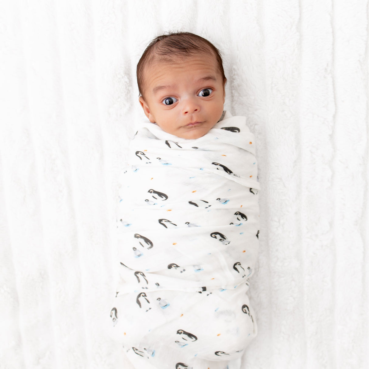 Penguin Swaddle