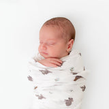 Koala Swaddle - HoneyBug 