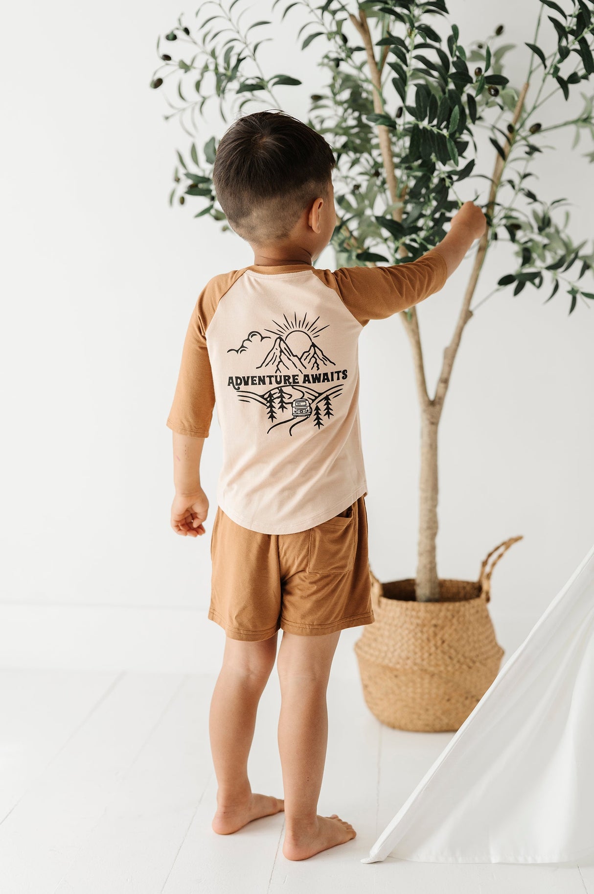 Boy's Everyday Shorts - HoneyBug 