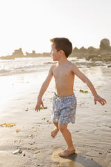 Sardine Swim Shorts