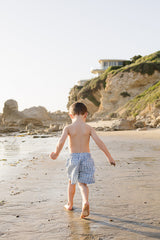 Light Blue Gingham Swim Shorts