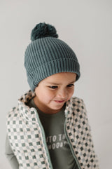 Knit Pom Hat - HoneyBug 