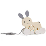 FSC Pull Along Bunny & Baby