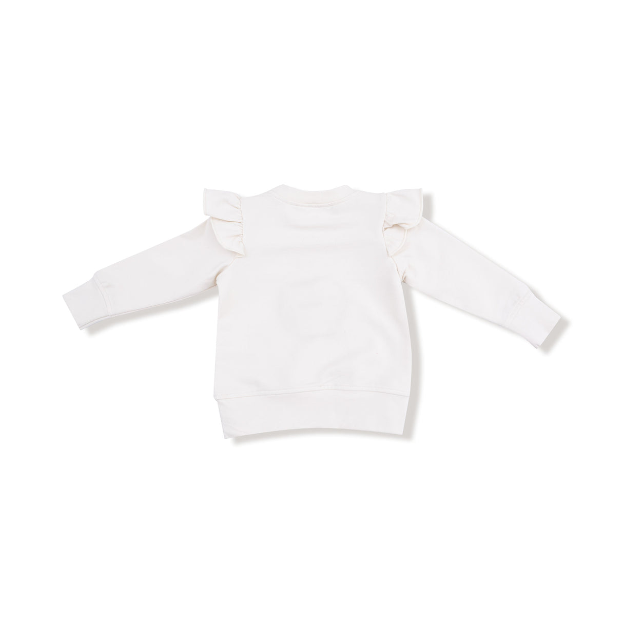 Trick or Treat Ruffle Sweatshirt - HoneyBug 