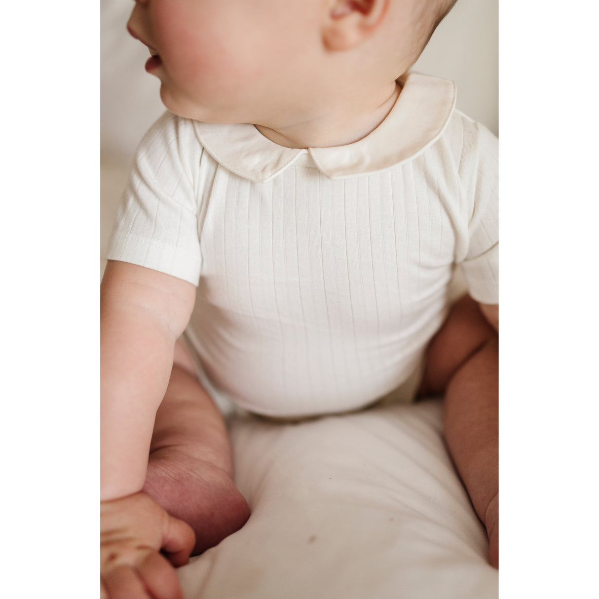 Wide Rib Cotton - Rosebud Collection- Romper - HoneyBug 