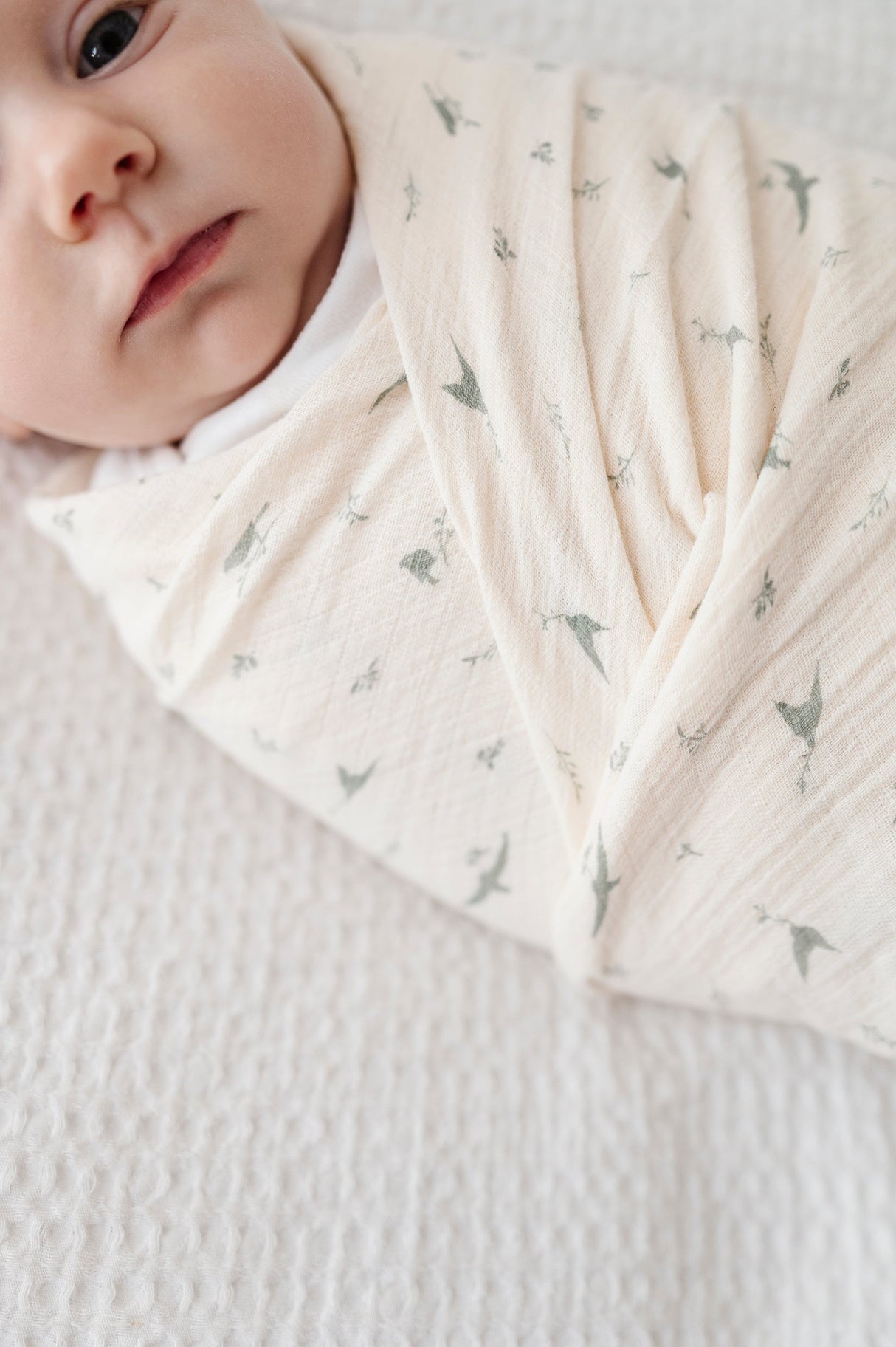 Cotton Muslin Swaddle Blanket - Sage Bird