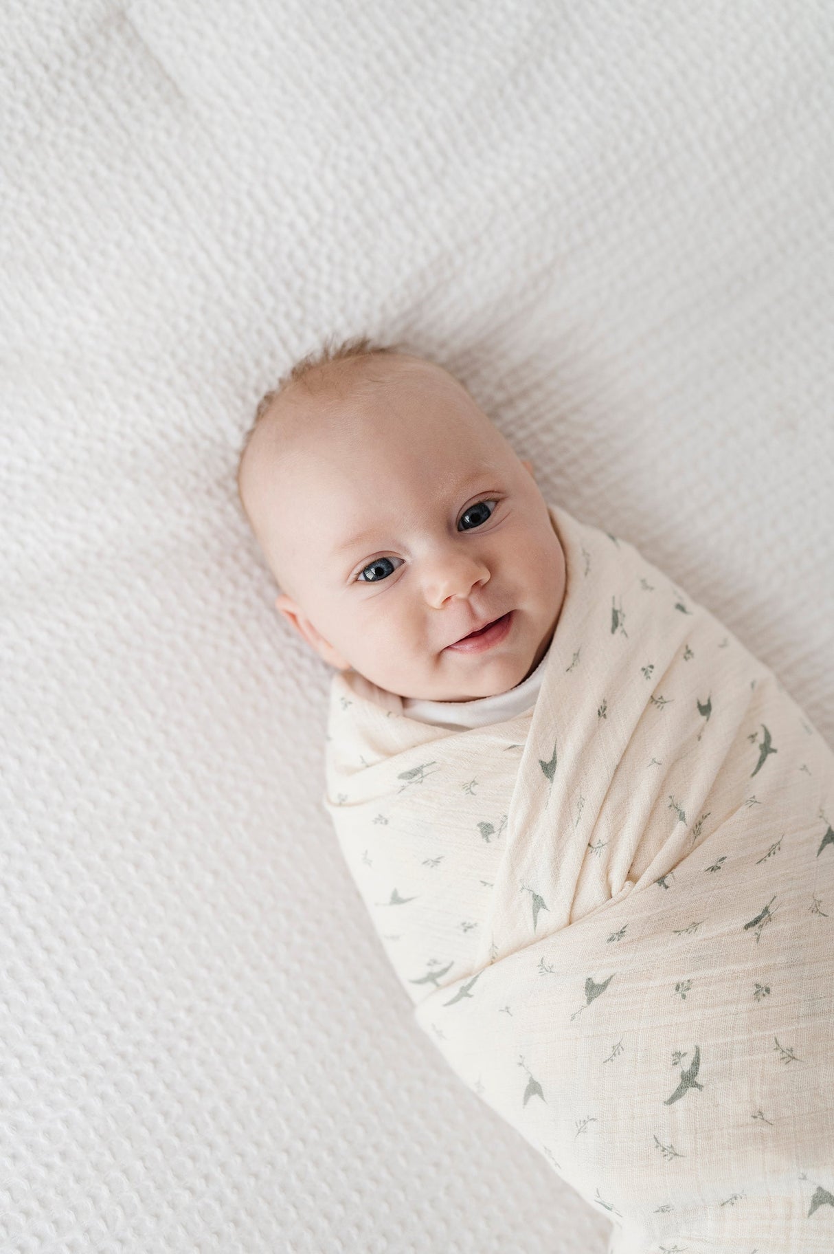 Cotton Muslin Swaddle Blanket - Sage Bird