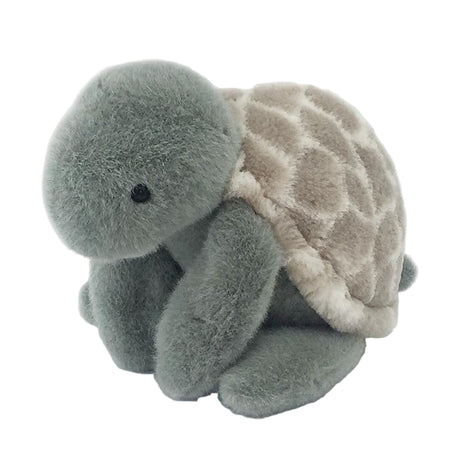 Taylor Cuddle Turtle Plush Toy - HoneyBug 