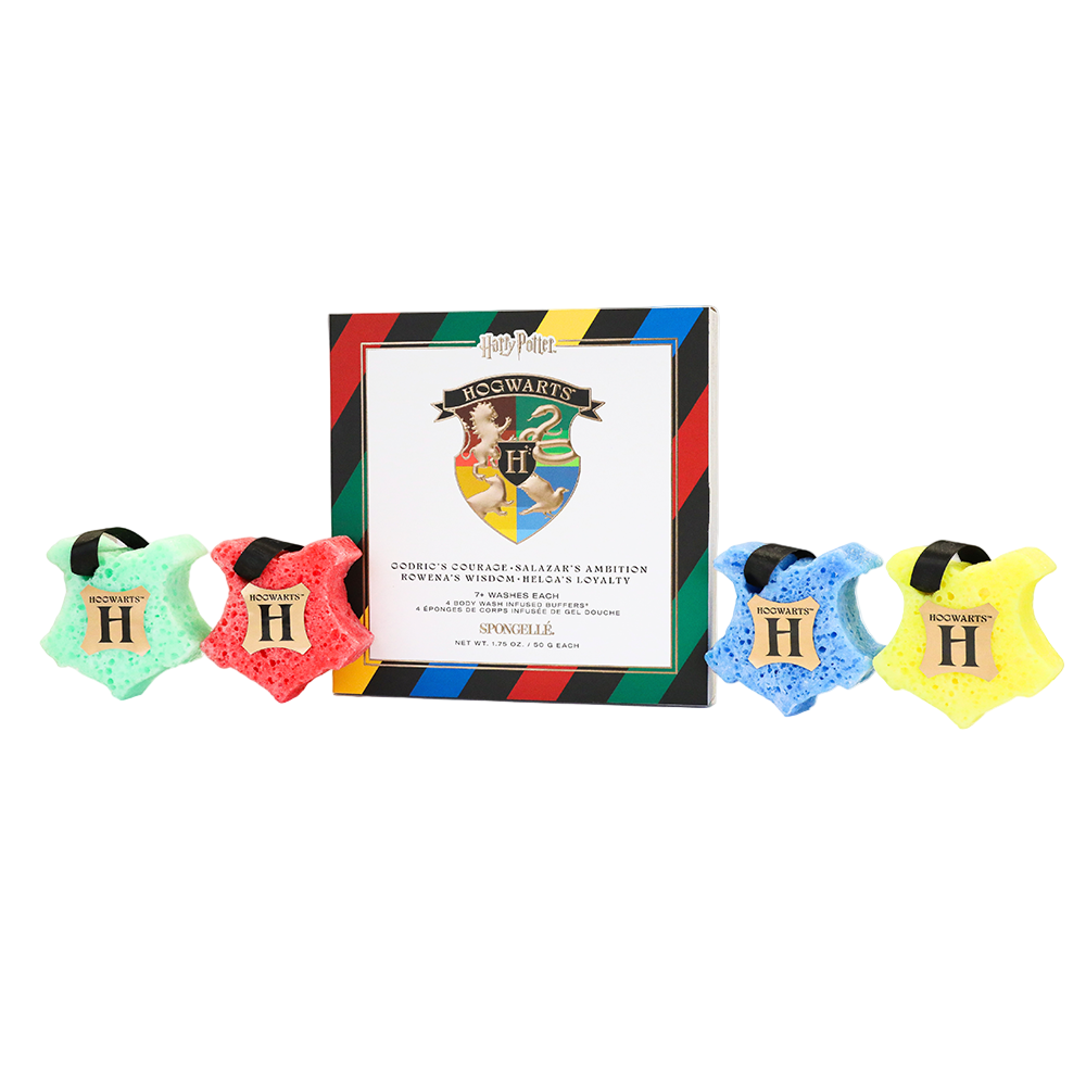 Hogwarts™ Gift Set | Harry Potter™ Collection - HoneyBug 