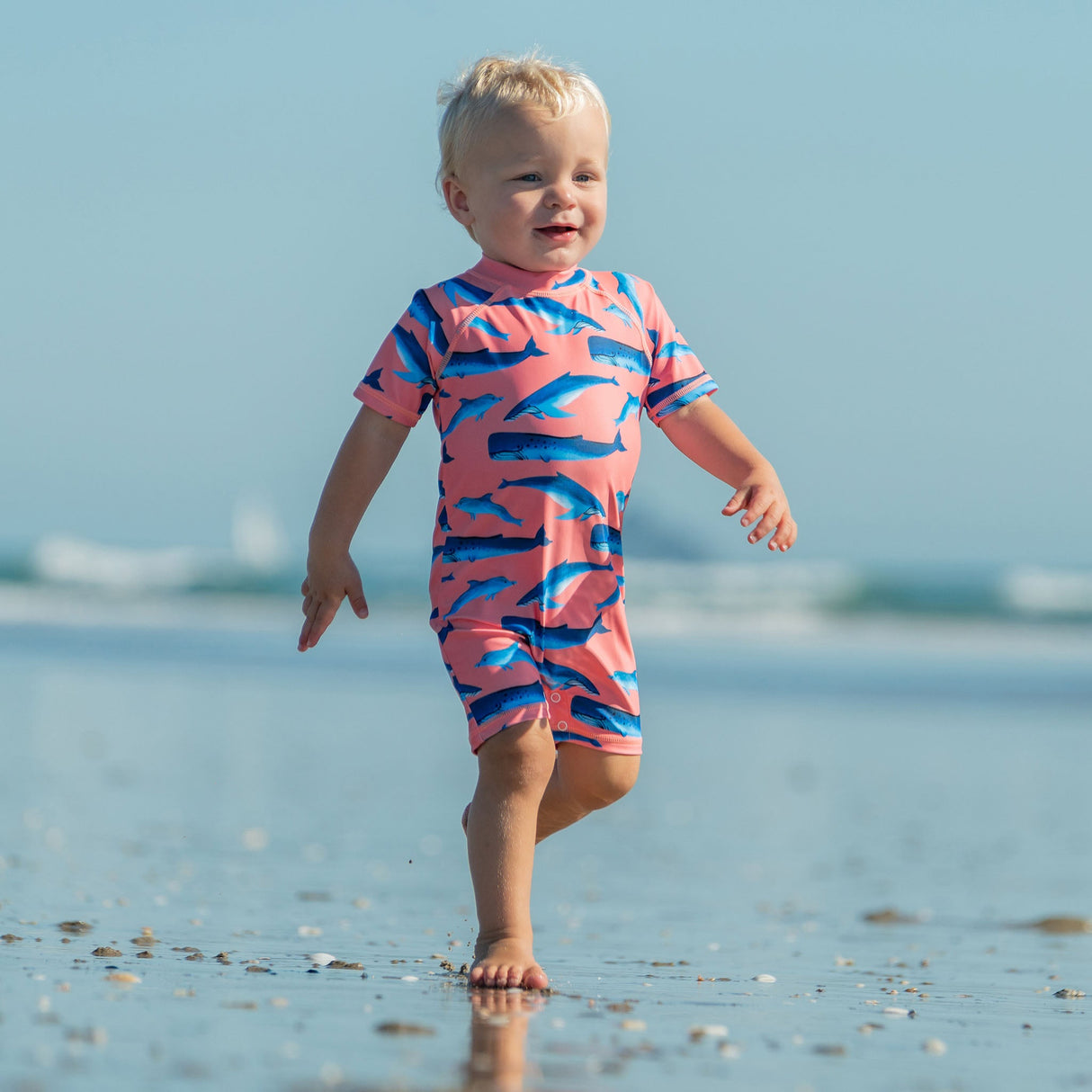 Whale Tail SS Sunsuit - HoneyBug 