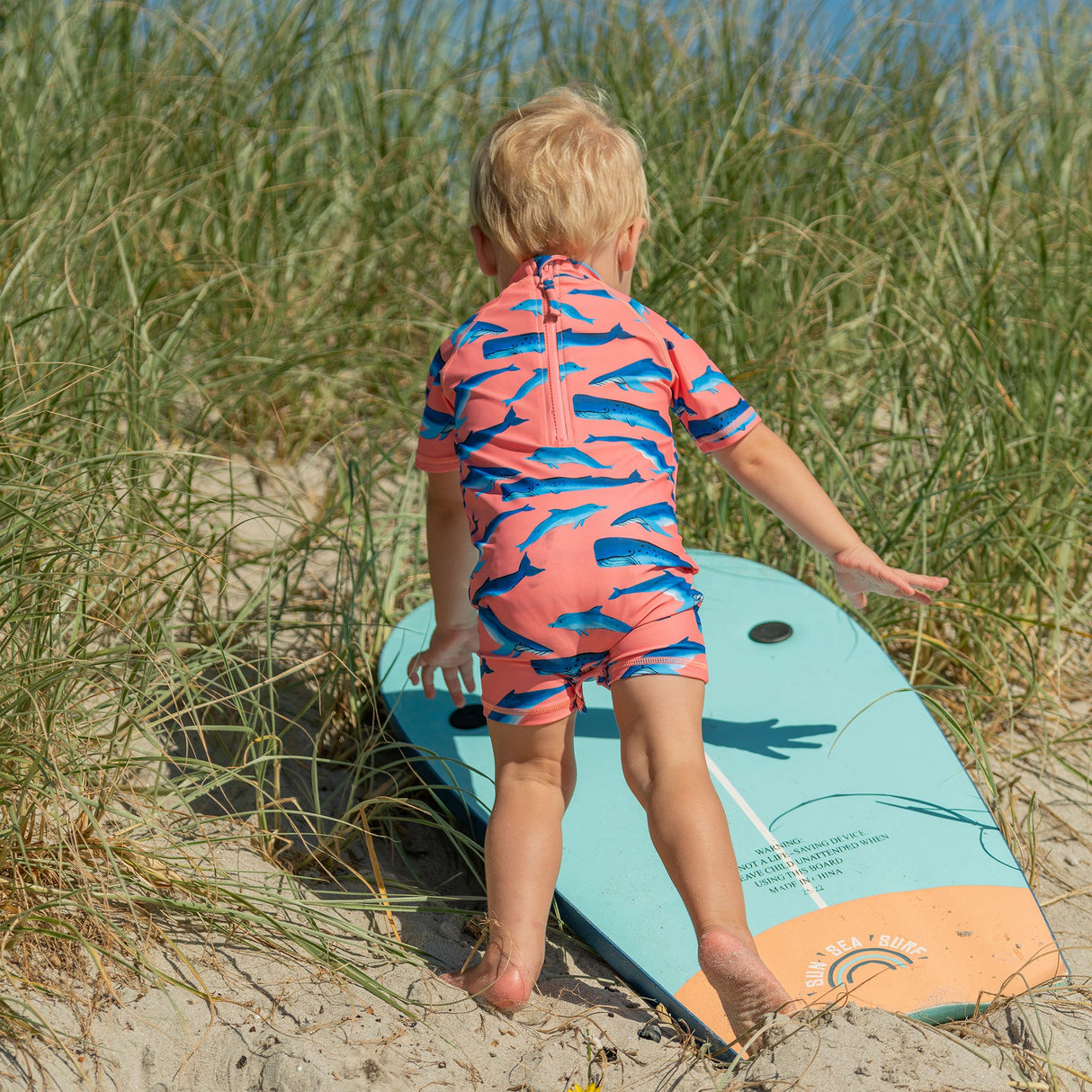 Whale Tail SS Sunsuit - HoneyBug 