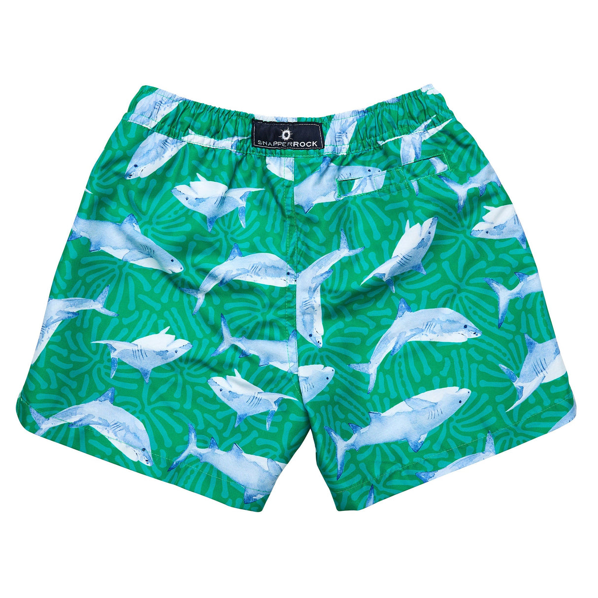 Reef Shark Swim Short - HoneyBug 