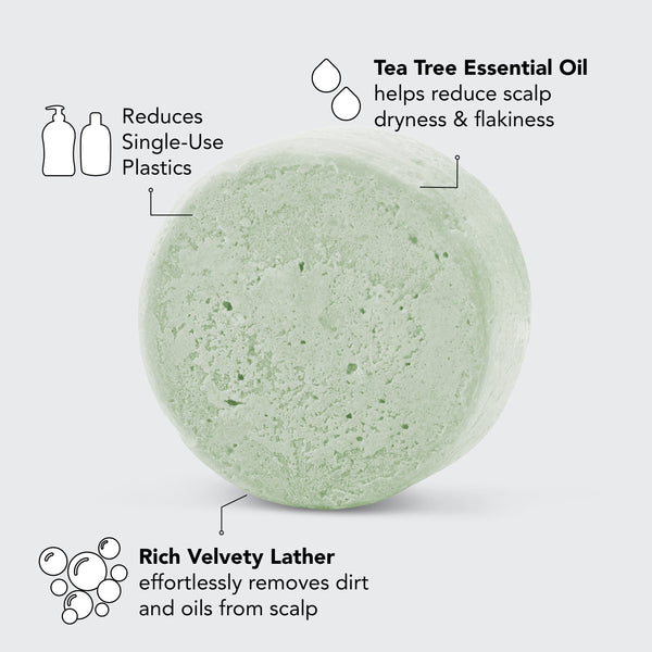 Tea Tree + Mint Clarifying Shampoo Bar by KITSCH - HoneyBug 