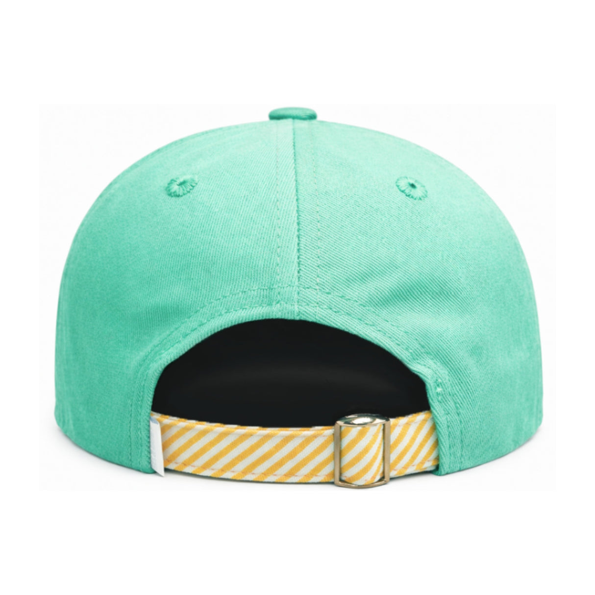 Triceratops Baseball Hat