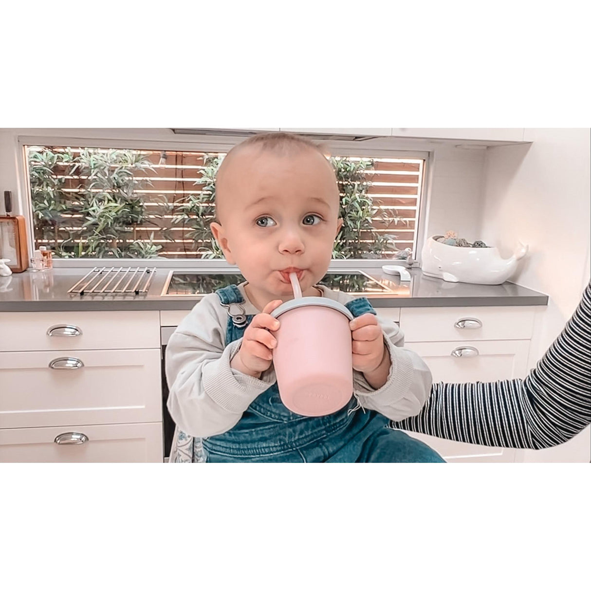 Haakaa Jolly Hippo Silicone Sippy Cup 1 pk - HoneyBug 