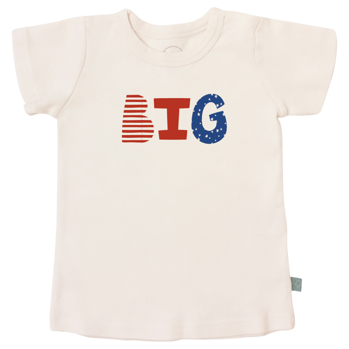 graphic tee | big - HoneyBug 