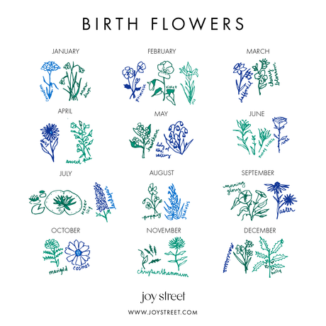 Birth Flowers Baby Bib