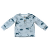Boy's Long Sleeve Henley Shirt - HoneyBug 