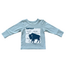 Boy's Long Sleeve Tee - HoneyBug 