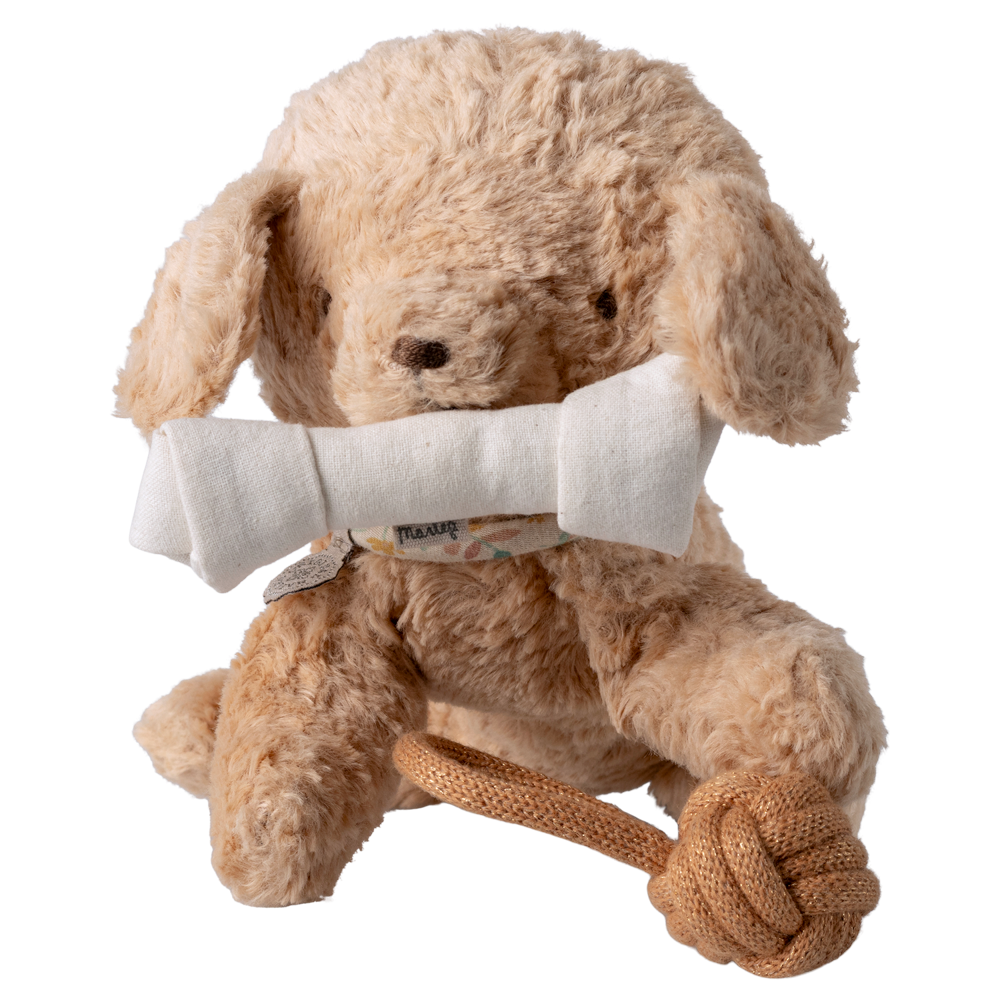 Pet supply, Toys