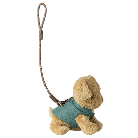 Pet supply, Harness and leash - Dark mint