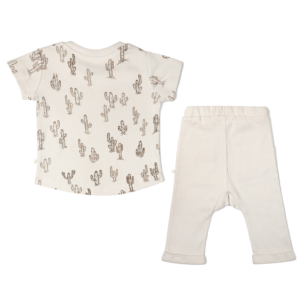 Organic Toddler T-shirt & Pant Set - Cactus