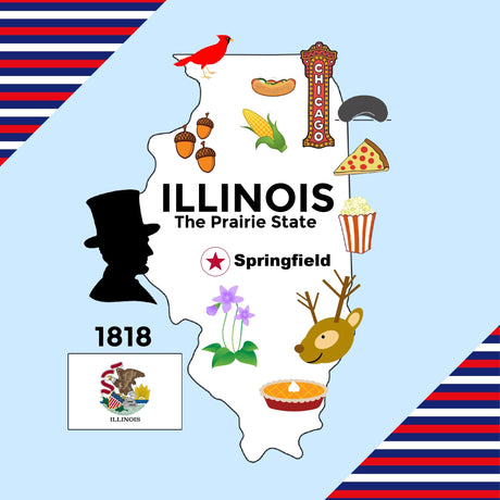 Illinois State Tag Toy Crinkle Square That Teaches Facts