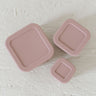 Silicone Bento Box Set/Set of 3