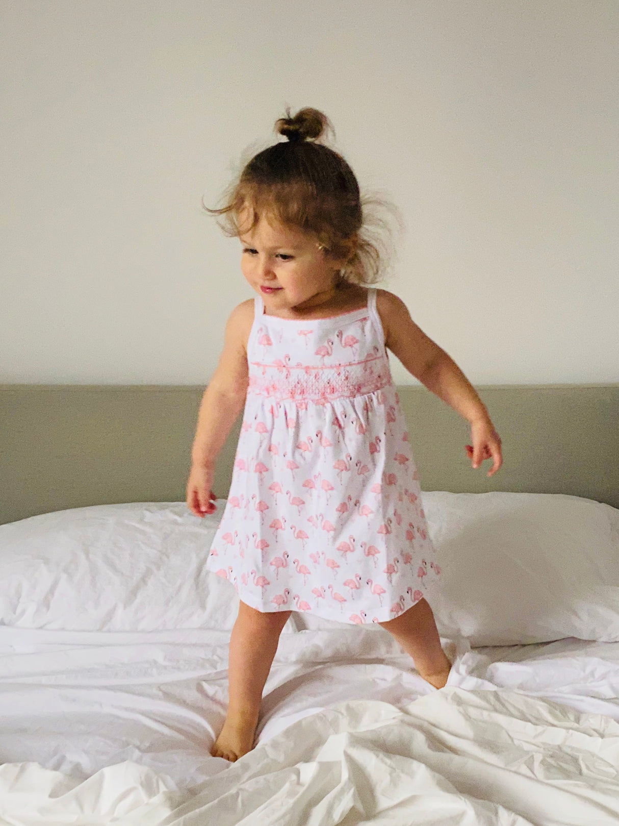 Pink Flamingo Smocked Dress