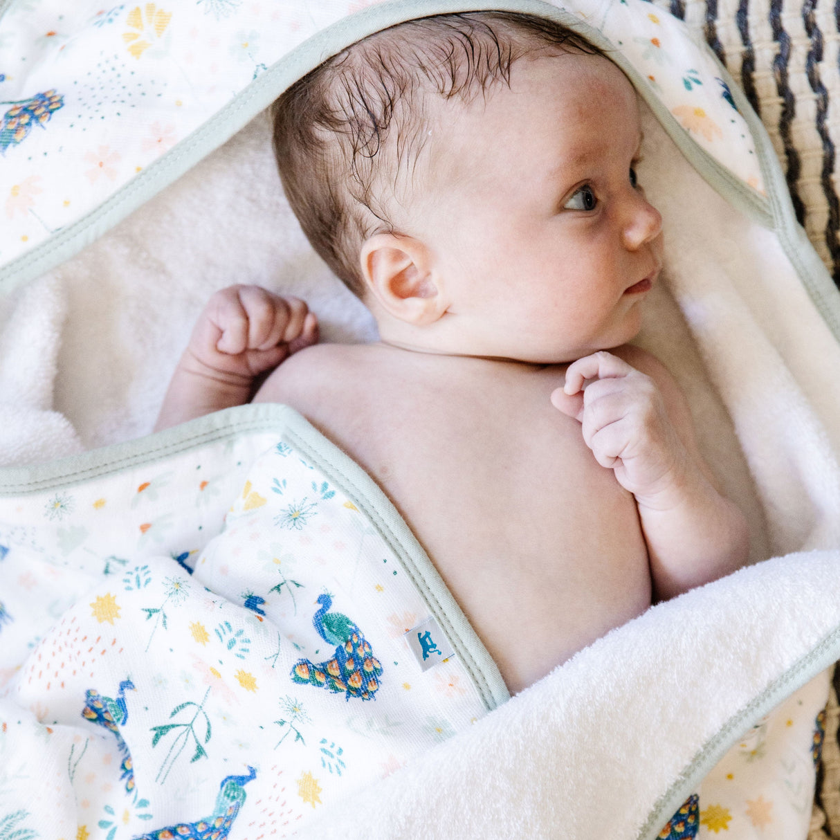 Infant Hooded Towel - Peacock