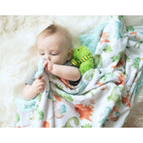 Premium Baby & Toddler Minky Blanket - Dinosaurs