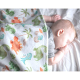 Premium Baby & Toddler Minky Blanket - Dinosaurs