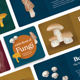 Little Book of Fungi