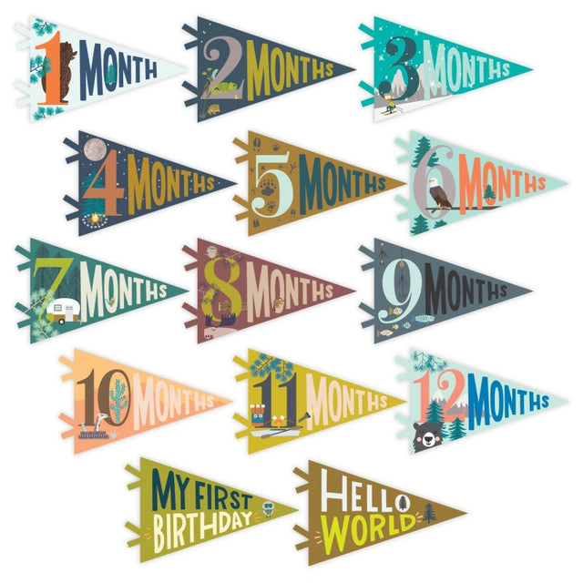 Little Camper Petit Milestone Pennants - HoneyBug 
