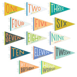 Little Kaleidoscope Petit Milestone Pennants - HoneyBug 