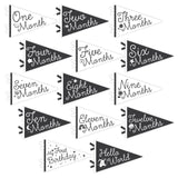 Little Stargazer Petit Milestone Pennants - HoneyBug 