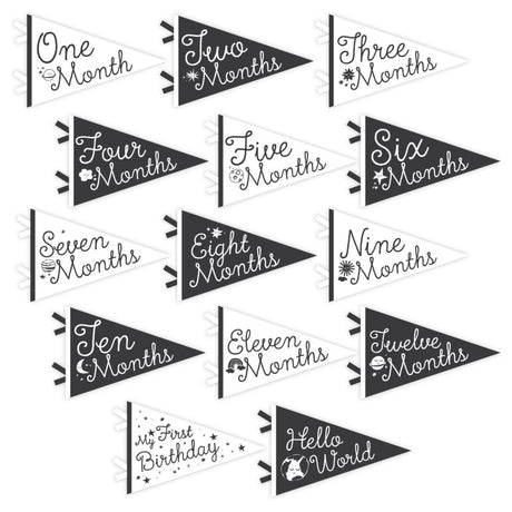 Little Stargazer Petit Milestone Pennants - HoneyBug 