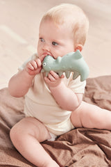 Theo Dino Teether