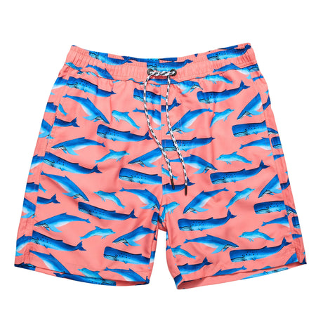 Mens Whale Tail Swim Short - HoneyBug 