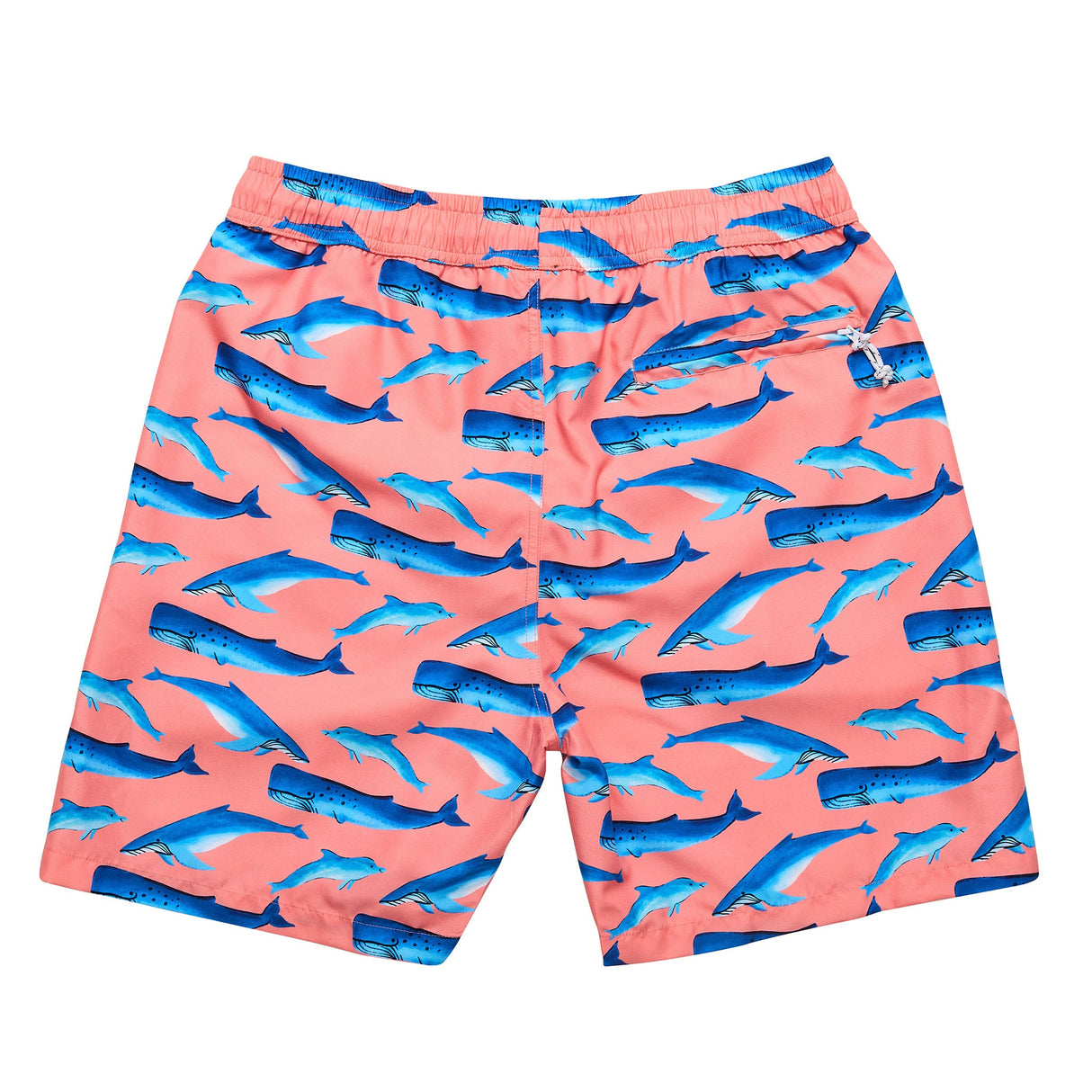 Mens Whale Tail Swim Short - HoneyBug 