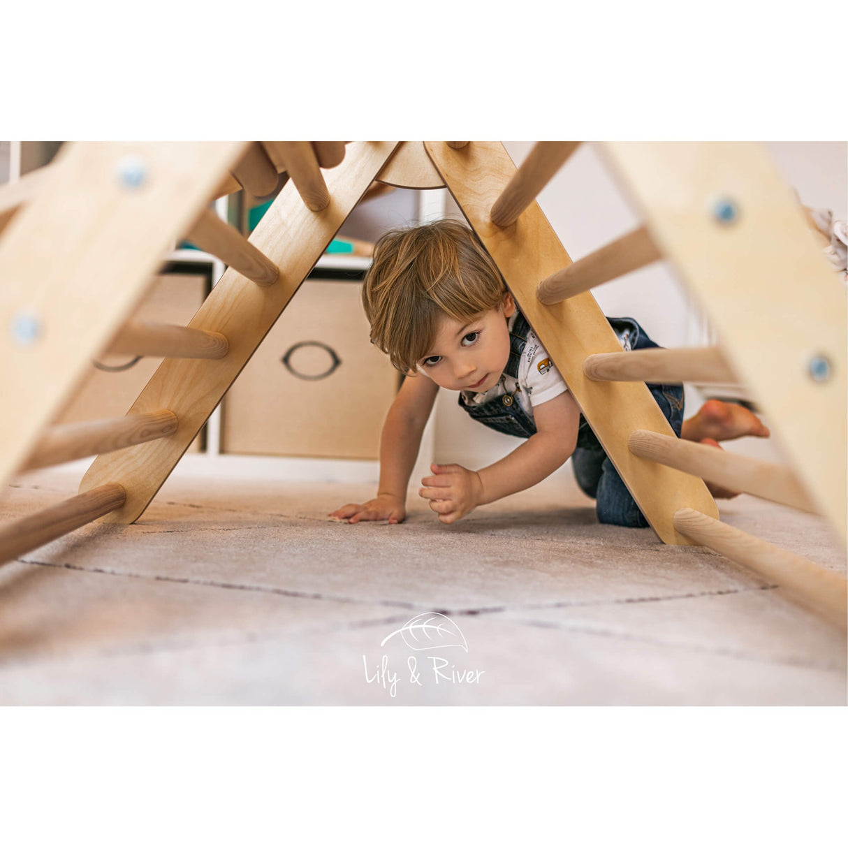 Little Climber XL - HoneyBug 