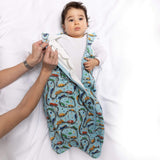 One & Done Sleep Sack - Cars