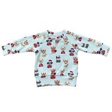 Raglan Sweatshirt - HoneyBug 