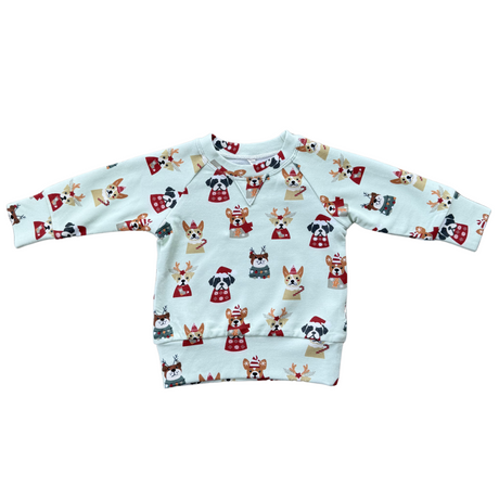 Raglan Sweatshirt - HoneyBug 