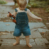 Halloween Toy Spider Rattle - HoneyBug 