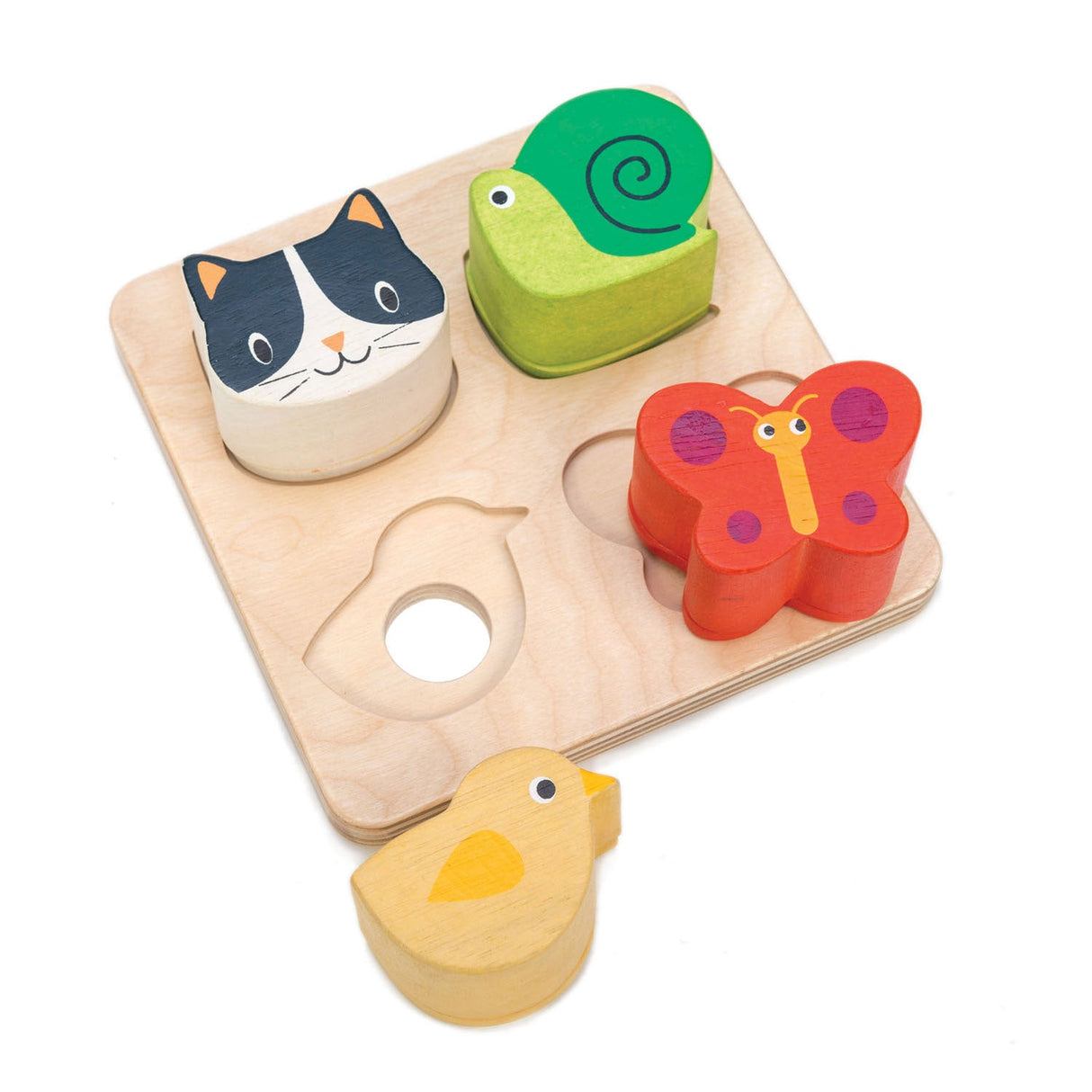 Toddler Sensory Collection - HoneyBug 