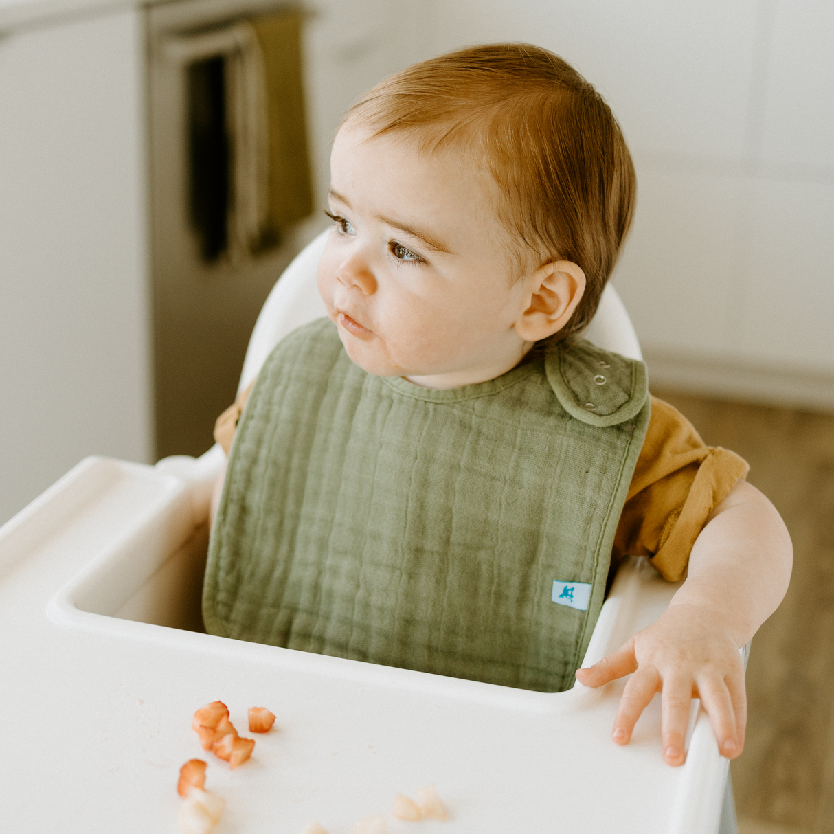 Cotton Muslin Classic Bib 3 Pack - Fern