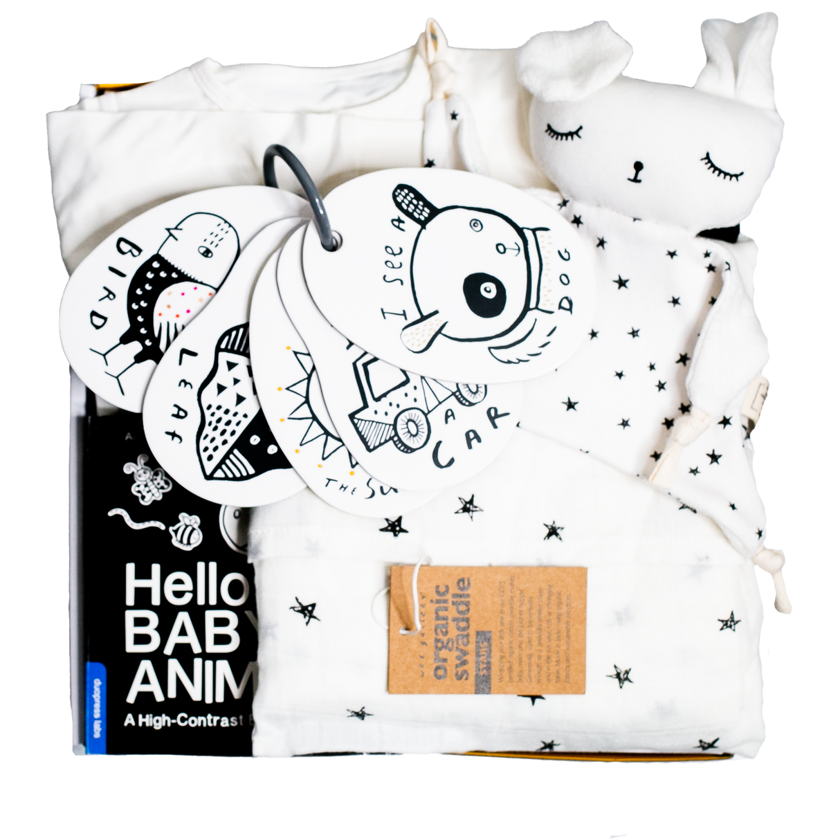 Newborn Sensory Gift Box - HoneyBug 