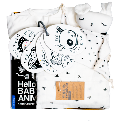 Newborn Sensory Gift Box - HoneyBug 